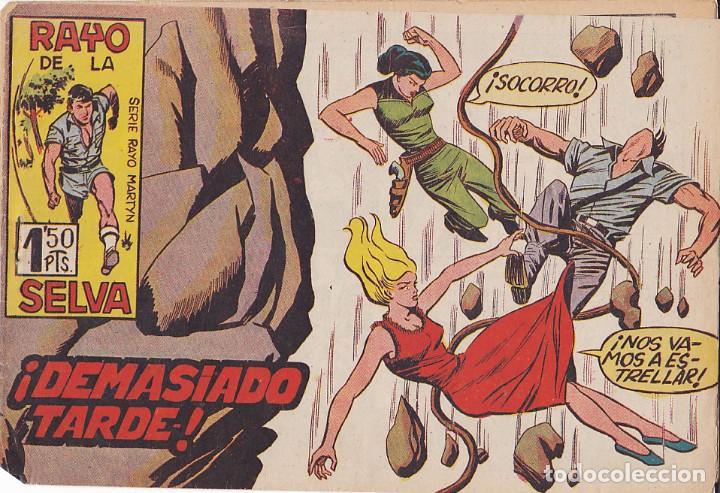 Tebeos: COMIC COLECCION RAYO DE LA SELVA N&ordm; 31 - Foto 1