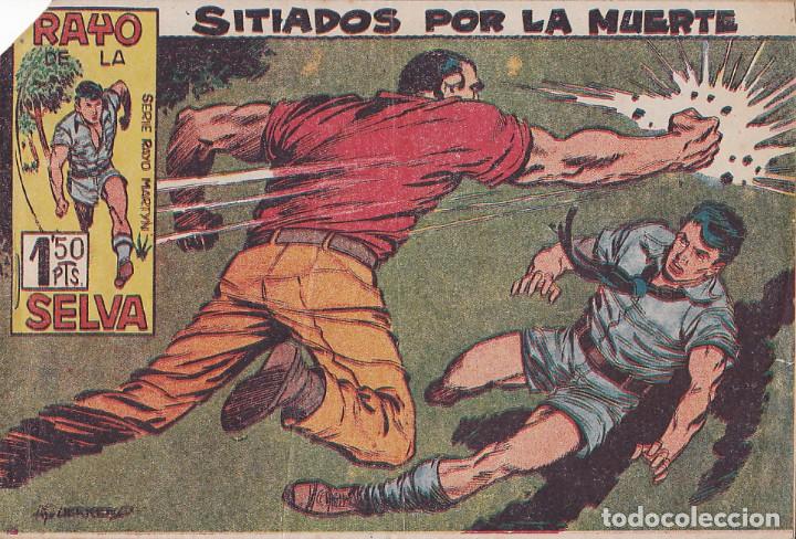 Tebeos: COMIC COLECCION RAYO DE LA SELVA N&ordm; 25 - Foto 1