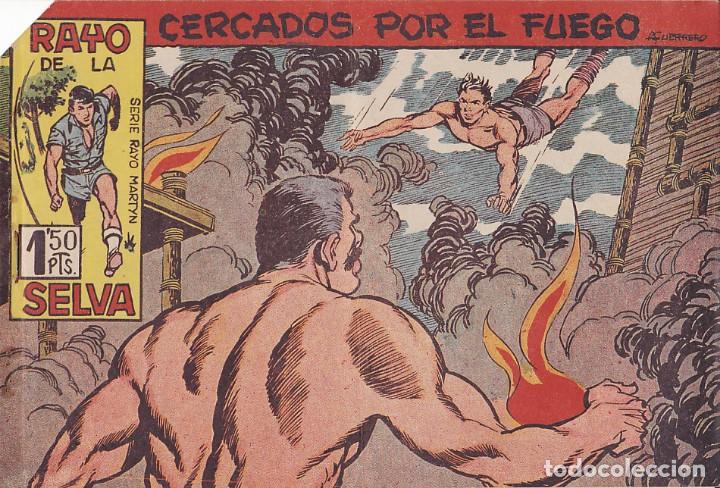 Tebeos: COMIC COLECCION RAYO DE LA SELVA N&ordm; 29 - Foto 1