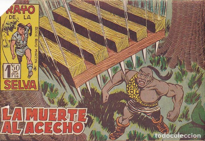 Tebeos: COMIC COLECCION RAYO DE LA SELVA N&ordm; 29 - Foto 1
