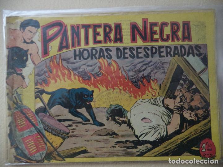 Tebeos: PANTERA NEGRA N&ordm; 29 ORIGINAL - Foto 1