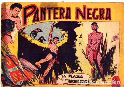 Tebeos: Pantera Negra (Maga) N&ordm; 4 - Foto 1