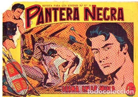 Tebeos: Pantera Negra (Maga) N&ordm; 11 - Foto 1