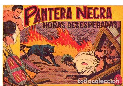 Tebeos: Pantera Negra (Maga) N&ordm; 29 - Foto 1