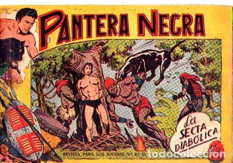 Tebeos: Pantera Negra (Maga) N&ordm; 43 - Foto 1