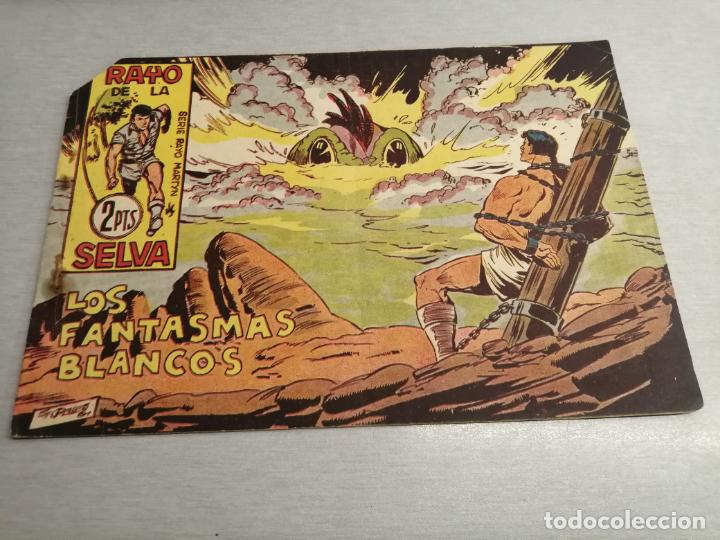 Tebeos: RAYO DE LA SELVA N&ordm; 67 / MAGA ORIGINAL - Foto 1