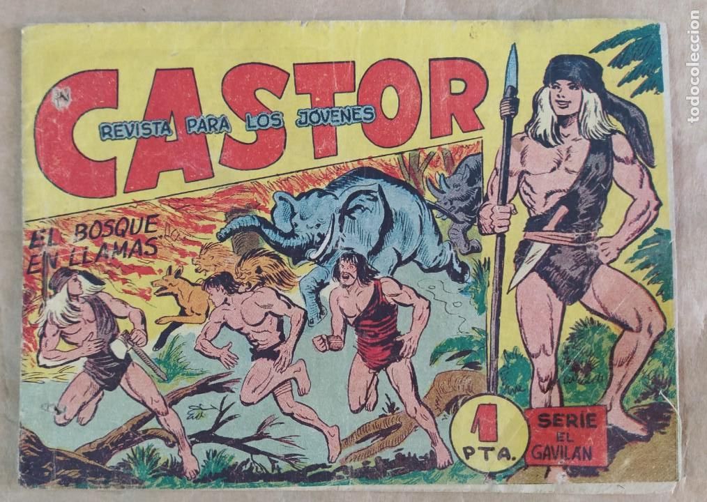 Tebeos: CASTOR - MAGA / N&Uacute;MERO 16 - Foto 1