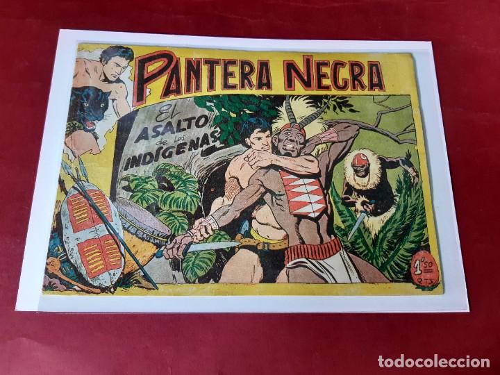 Tebeos: PANTERA NEGRA N&ordm; 42 -ORIGINAL-EXCELENTE ESTADO - Foto 1