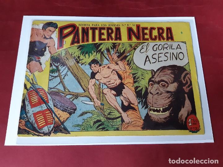 Tebeos: PANTERA NEGRA N&ordm; 19 -ORIGINAL-EXCELENTE ESTADO - Foto 1