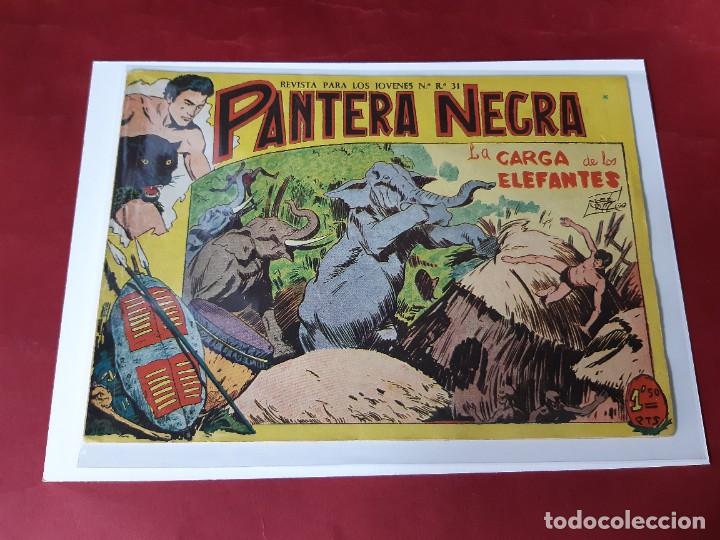 Tebeos: PANTERA NEGRA N&ordm; 5 -ORIGINAL-EXCELENTE ESTADO - Foto 1