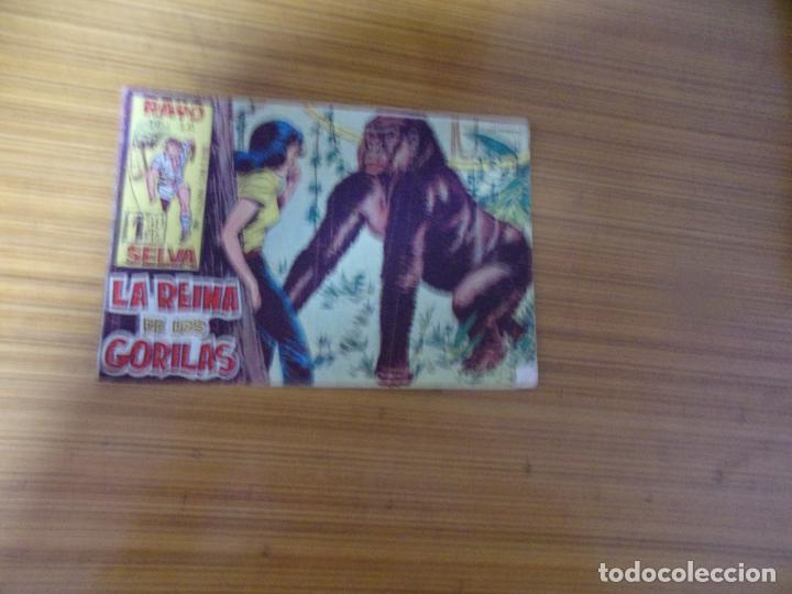 Tebeos: RAYO DE LA SELVA N&ordm; 12 EDITA MAGA - Foto 1