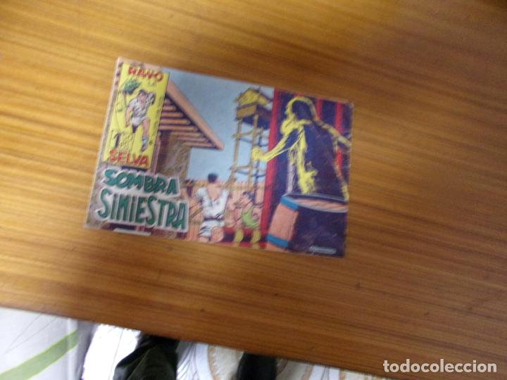 Tebeos: RAYO DE LA SELVA N&ordm; 13 EDITA MAGA - Foto 1
