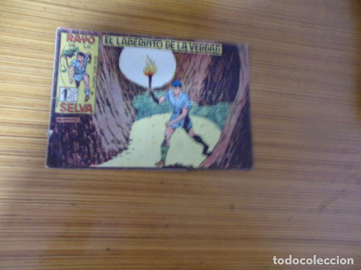 Tebeos: RAYO DE LA SELVA N&ordm; 17 EDITA MAGA - Foto 1