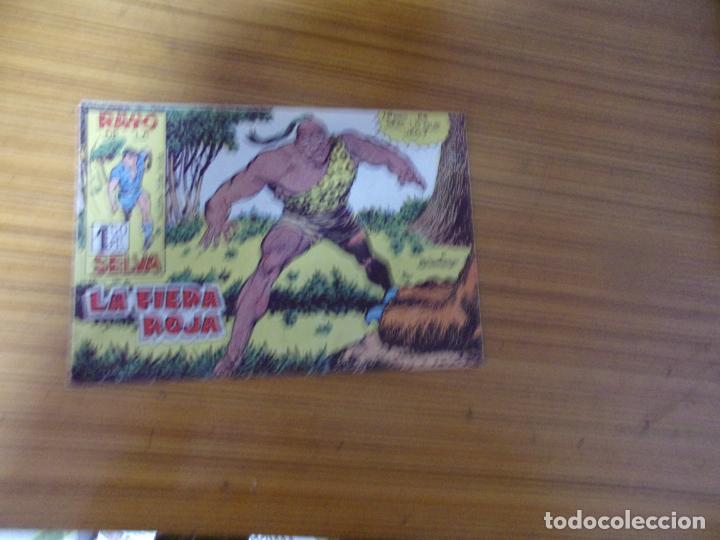 Tebeos: RAYO DE LA SELVA N&ordm; 20 EDITA MAGA - Foto 1