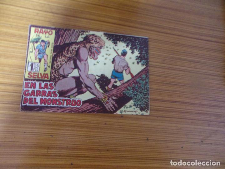 Tebeos: RAYO DE LA SELVA N&ordm; 21 EDITA MAGA - Foto 1