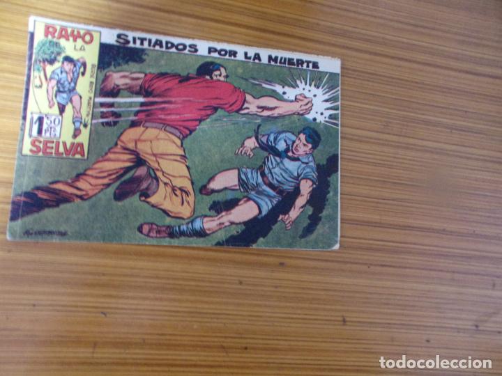 Tebeos: RAYO DE LA SELVA N&ordm; 25 EDITA MAGA - Foto 1