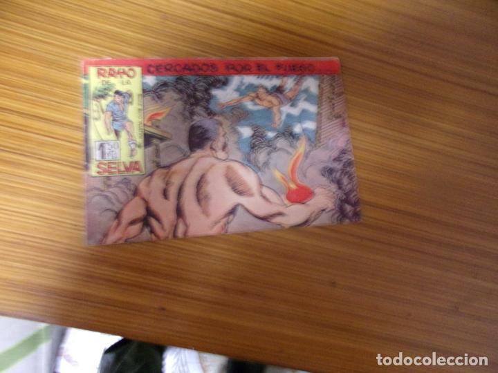Tebeos: RAYO DE LA SELVA N&ordm; 29 EDITA MAGA - Foto 1