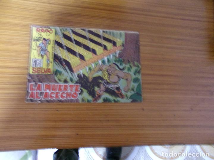 Tebeos: RAYO DE LA SELVA N&ordm; 34 EDITA MAGA - Foto 1