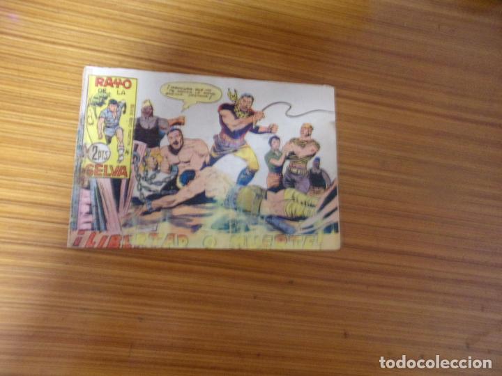 Tebeos: RAYO DE LA SELVA N&ordm; 65 EDITA MAGA - Foto 1