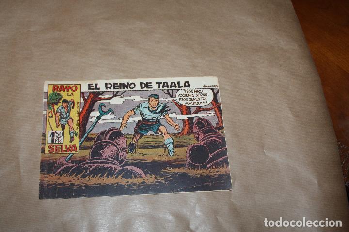 Tebeos: RAYO DE LA SELVA N&ordm; 26, EDITORIAL MAGA - Foto 1