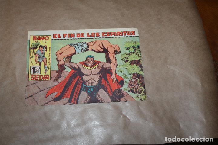 Tebeos: RAYO DE LA SELVA N&ordm; 39, EDITORIAL MAGA - Foto 1
