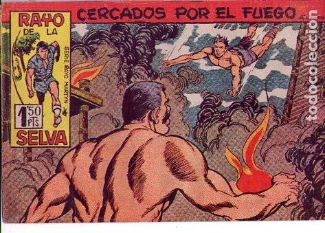 Tebeos: El Rayo de la Selva (Maga) N&ordm; 29 - Foto 1