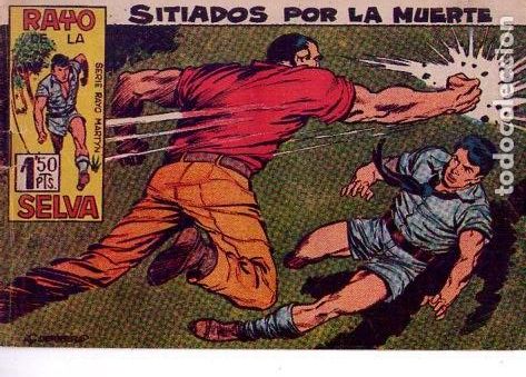 Tebeos: El Rayo de la Selva (Maga) N&ordm; 25 - Foto 1