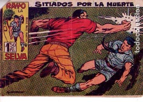 Tebeos: El Rayo de la Selva (Maga) N&ordm; 25 - Foto 1