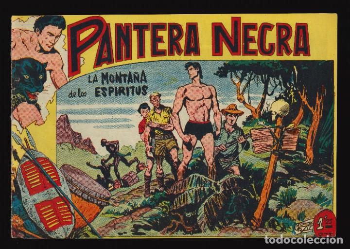 Tebeos: PANTERA NEGRA - MAGA / N&Uacute;MERO 7 - Foto 1