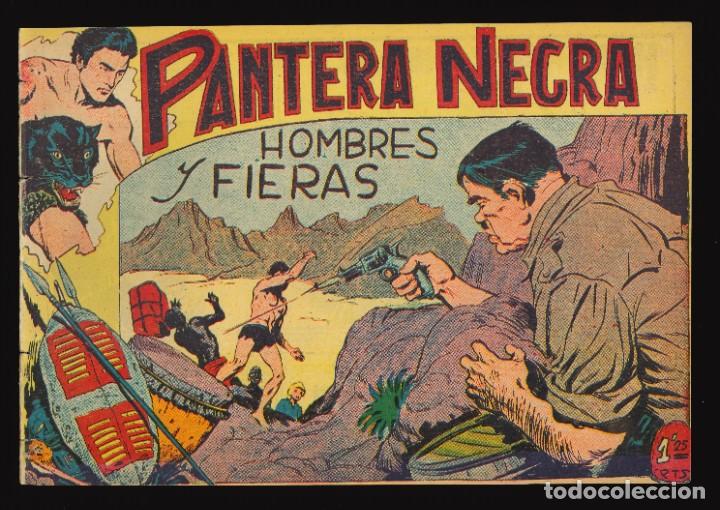 Tebeos: PANTERA NEGRA - MAGA / N&Uacute;MERO 13 - Foto 1