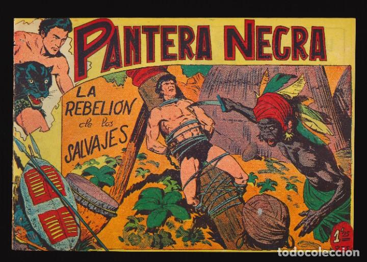 Tebeos: PANTERA NEGRA - MAGA / N&Uacute;MERO 14 - Foto 1