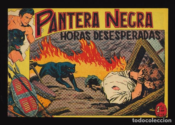 Tebeos: PANTERA NEGRA - MAGA / N&Uacute;MERO 29 - Foto 1