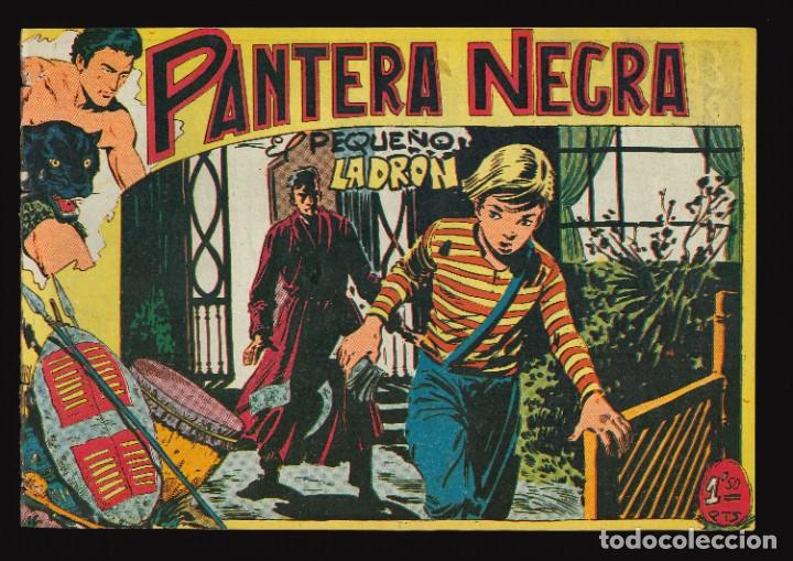 Tebeos: PANTERA NEGRA - MAGA / N&Uacute;MERO 31 - Foto 1