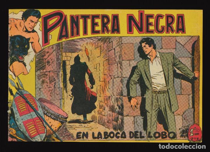 Tebeos: PANTERA NEGRA - MAGA / N&Uacute;MERO 34 - Foto 1
