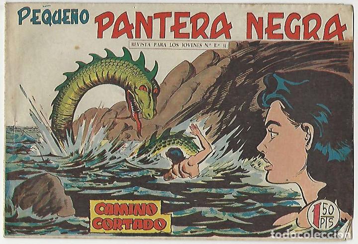 Tebeos: Maga. Peque&ntilde;o pantera negra. 181. - Foto 1