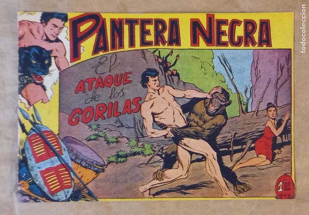 Tebeos: PANTERA NEGRA - MAGA / N&Uacute;MERO 20 - Foto 1