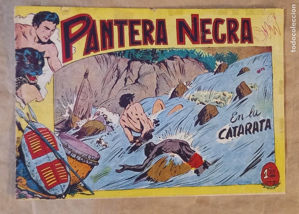 Tebeos: PANTERA NEGRA - MAGA / N&Uacute;MERO 16 - Foto 1