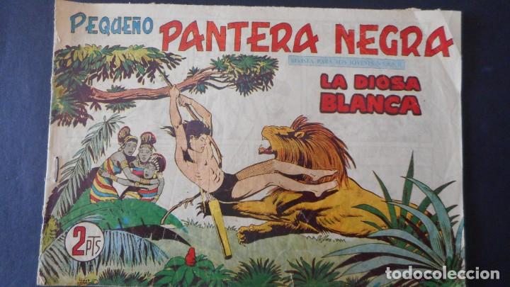 Tebeos: PEQUE&Ntilde;O PANTERA N&ordm; 231 - Foto 1