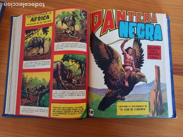 Tebeos: PANTERA NEGRA COMPLETA ORIGINAL - 65 NUMEROS EN 2 TOMOS - MAGA (W2) - Foto 6