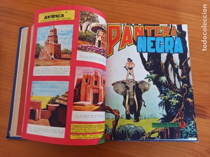 Tebeos: PANTERA NEGRA COMPLETA ORIGINAL - 65 NUMEROS EN 2 TOMOS - MAGA (W2) - Foto 11