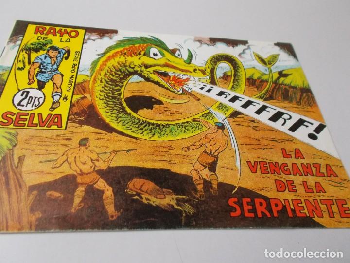 Tebeos: RAYO DE LA SELVA N&ordm; 69 La venganza de la serpiente - Foto 1