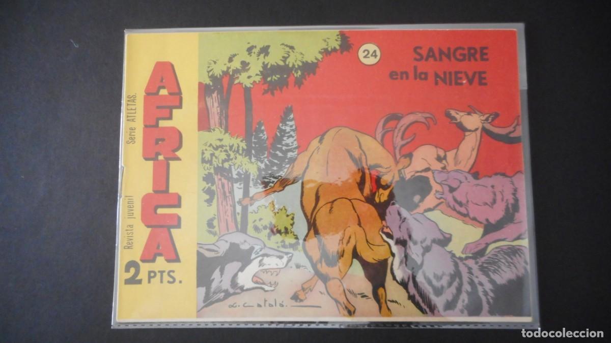 Tebeos: ATLETAS - &Aacute;FRICA N&ordm; 24 / C-15 - Foto 1