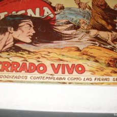 Giornalini: BENGALA 1ªPARTE Nº 13:ENTERRADO VIVO,(DE 45).MAGA,1959,DIBUJA LEOPOLDO ORTIZ