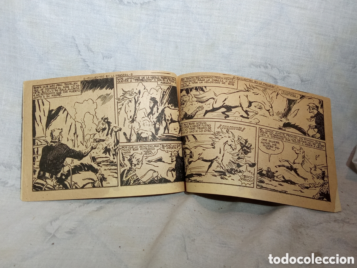 Tebeos: TERREMOTO, ENCUENTRO EN LA PRADERA, 2. ED. MAGA - Foto 2