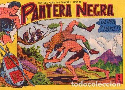 Tebeos: Pantera Negra (2 Pts) (Maga) N&ordm; 26 - Foto 1