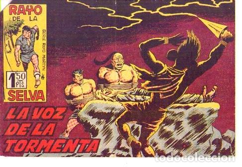 Tebeos: Rayo de la selva (Maga) N&ordm; 36 - Foto 1
