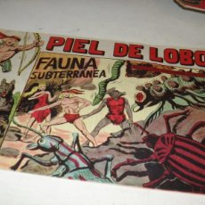 Tebeos: PIEL DE LOBO 24 FAUNA SUBTERRANEA,(DE 90).MAGA,1959.DE MANUEL GAGO