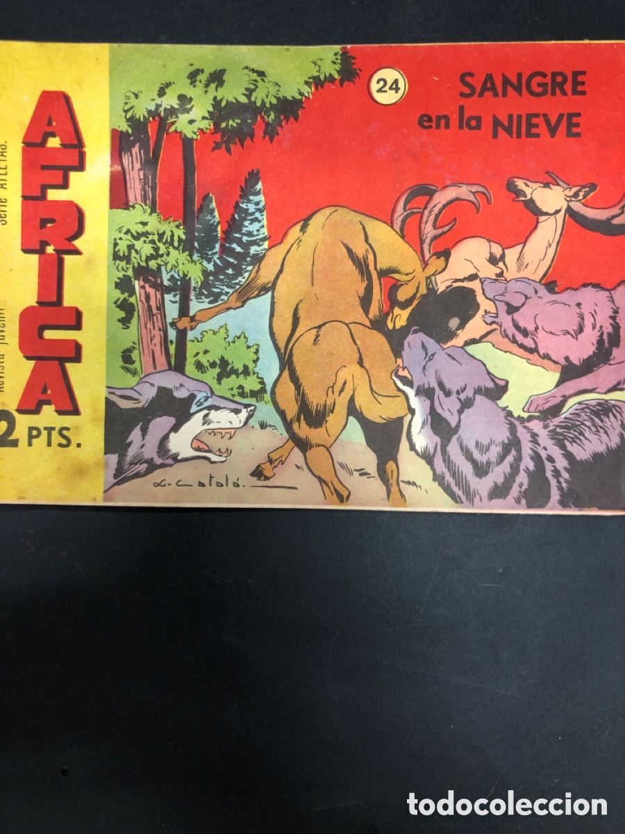 Tebeos: COMIC AFRICA N&ordm; 24 EDITORIAL MAGA - Foto 1