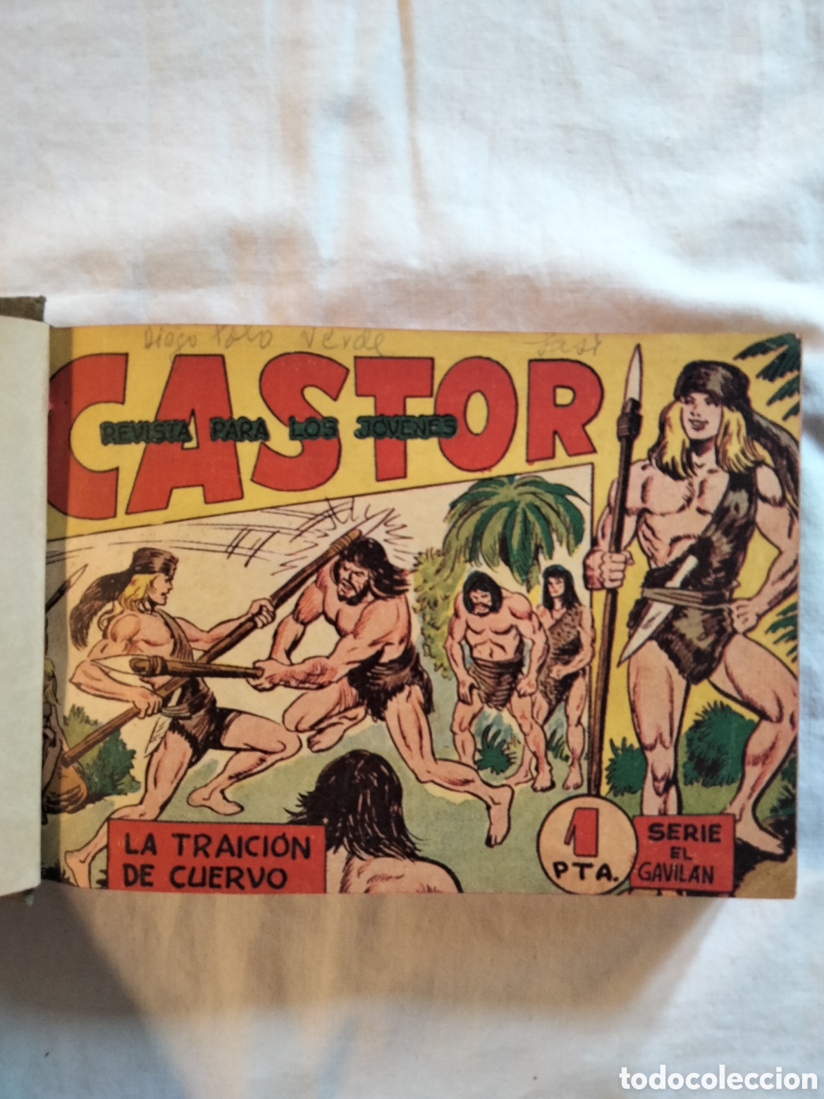Tebeos: Castor completa encuadernada 42 nums. Original - Foto 1