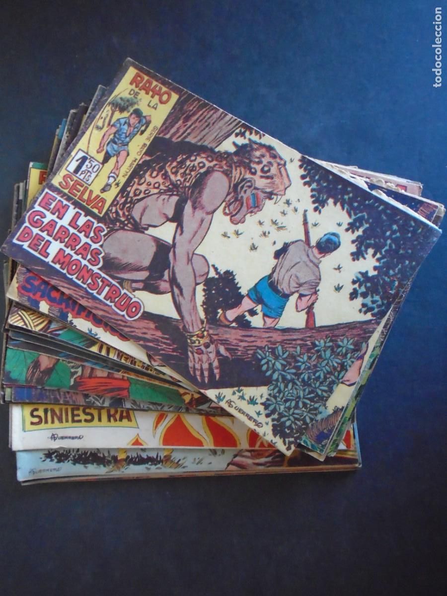 Tebeos: (COM-230402)LOTE DE 37 COMICS EL RAYO DE LA SELVA - EDITORIAL MAGA - Foto 1